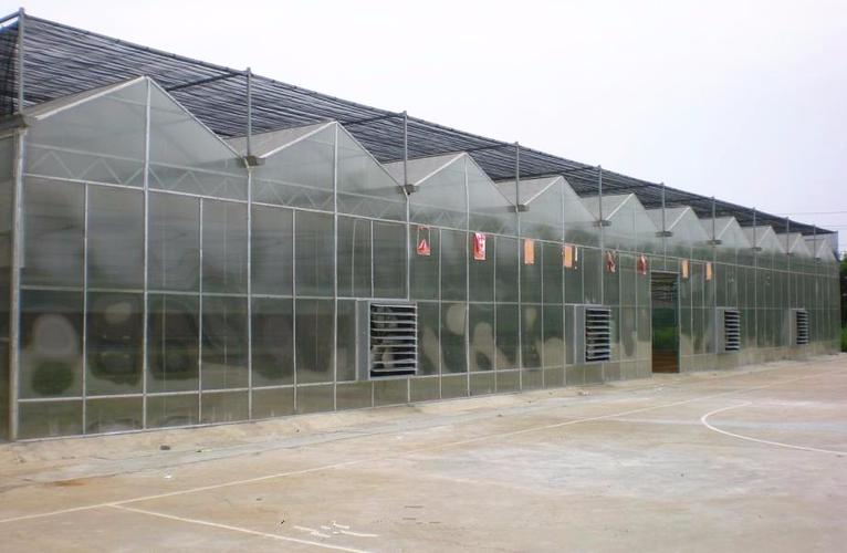 文洛式玻璃智能温室 - 寿光市中丰绿农温室工程