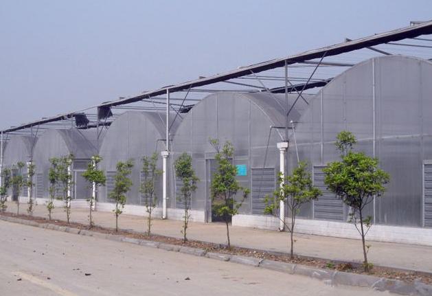 连栋温室除湿方法_产品展示_江苏ag体育温室工程
