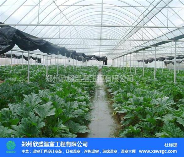 汉中种植大棚-( 【欣盛温室】)-种植大棚多少钱 - 郑州欣盛温室工程