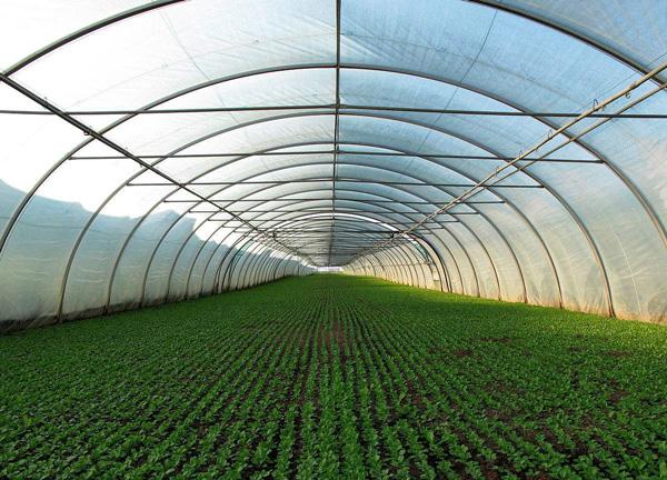 和丰温室工程是一家专注于农业产品生产供应的独资企业,公司集温室